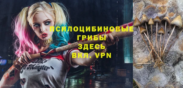 гашик Лиски