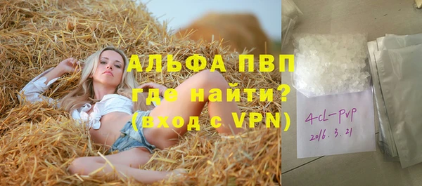 индика Магас
