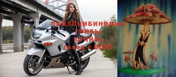 гашик Лиски