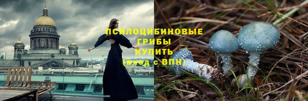 индика Магас